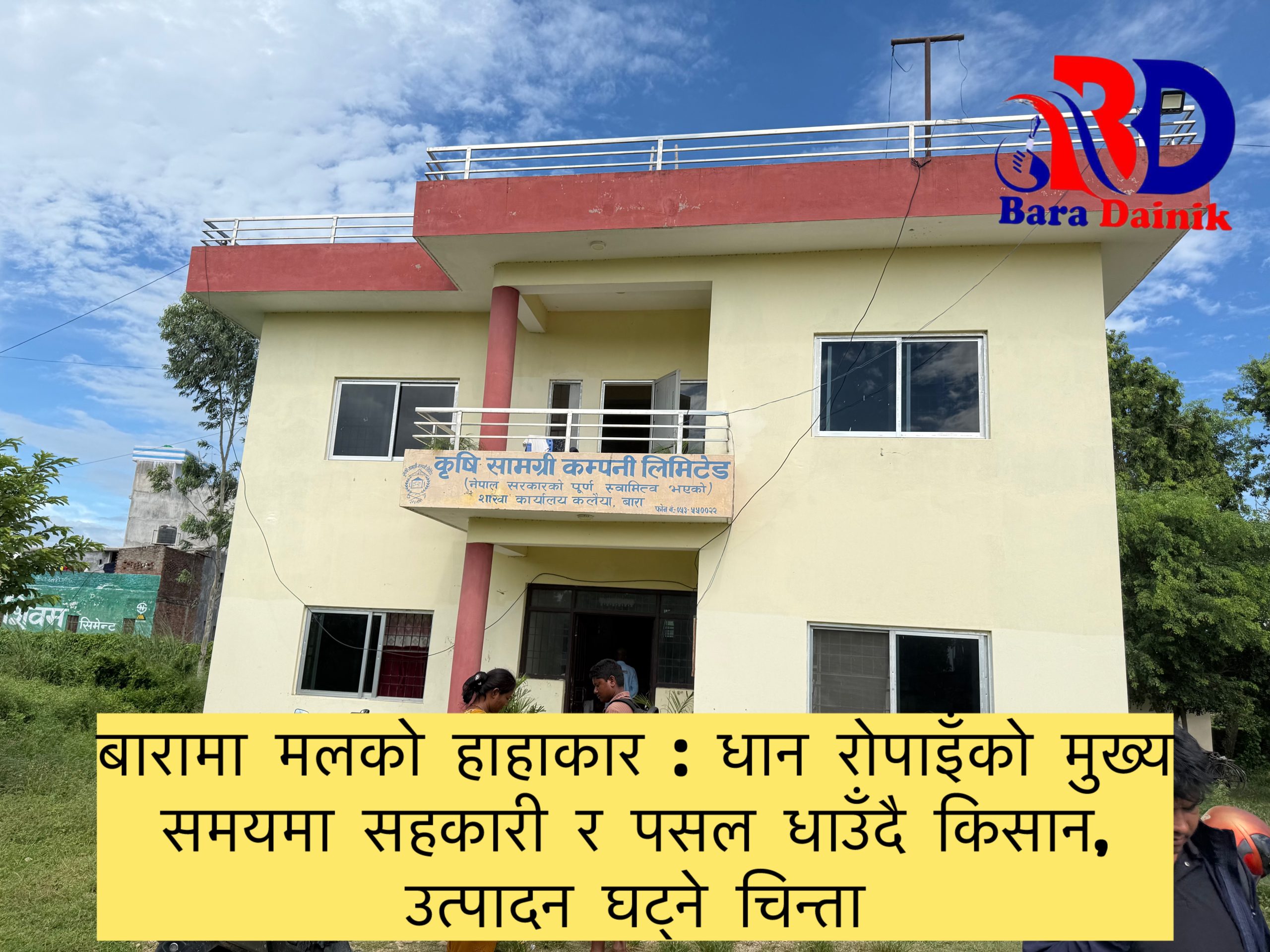 बारामा मलको हाहाकार : धान रोपाइँको मुख्य समयमा सहकारी र पसल धाउँदै किसान, उत्पादन घट्ने चिन्ता